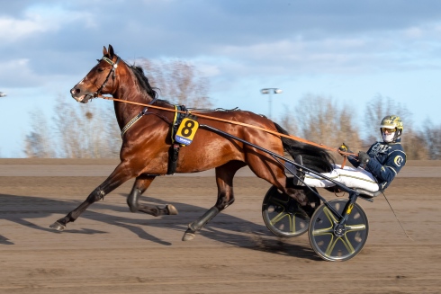  

Foto av Lars Jakobsson/TR Bild
